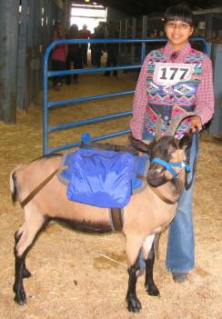 4Hgoat9-19-05.JPG - 19951 Bytes