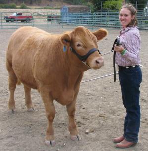 4Hsteer9-19-05.JPG - 19030 Bytes