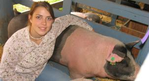 4Hswine9-19-05.JPG - 10912 Bytes