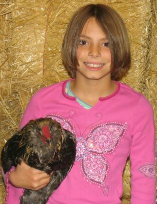 4hchicken2006.JPG - 27360 Bytes