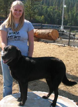 4hdog2006.JPG - 27876 Bytes