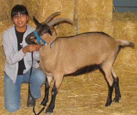 4hgoat2006.JPG - 35784 Bytes