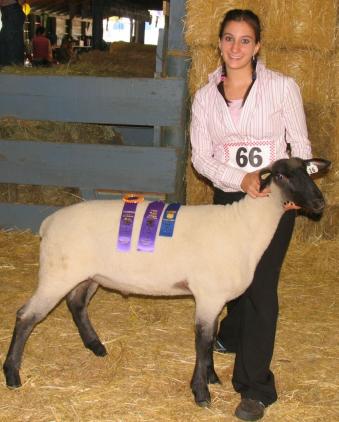 4hsheep2006.JPG - 27122 Bytes