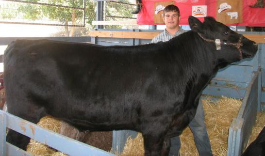 4hsteer2006.JPG - 29166 Bytes