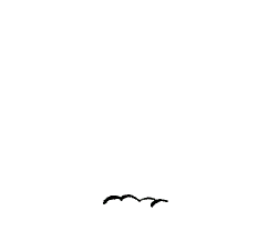 ani_animals002.gif - 515 Bytes