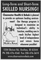 chrclogog.JPG - 13205 Bytes