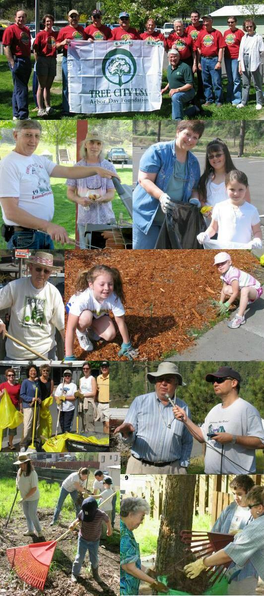 cleanup5-8-06.JPG - 169945 Bytes