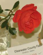 fairrose9-23-06.JPG - 5354 Bytes