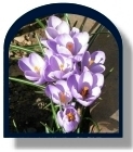flowerslogo.JPG - 19085 Bytes