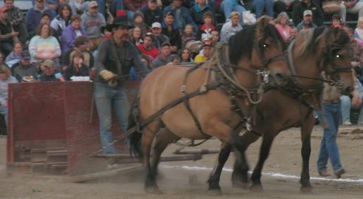 horsepull59-21-06.JPG - 23338 Bytes