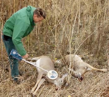 idfgwaste11-5-05.JPG - 37572 Bytes