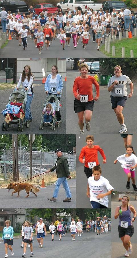 kruncollage9-12-06.JPG - 105941 Bytes