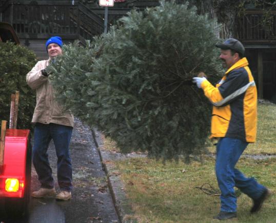 ktreepickup1-9-06.JPG - 41637 Bytes