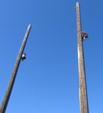 log15.JPG - 9264 Bytes