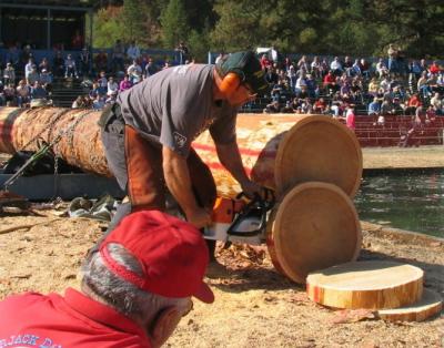 log17.JPG - 31693 Bytes