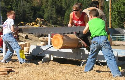 log19.JPG - 32294 Bytes