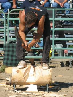 log33.JPG - 23461 Bytes