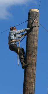 log56.JPG - 7293 Bytes