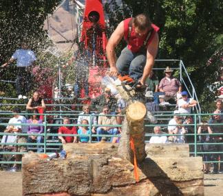 log60.JPG - 31055 Bytes