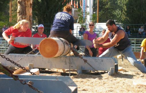 log84.JPG - 39013 Bytes