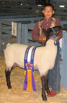 marketlamb9-19-05.JPG - 17247 Bytes