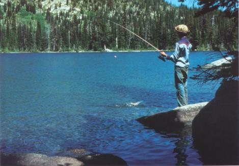 streamwoodybook.jpg - 27245 Bytes