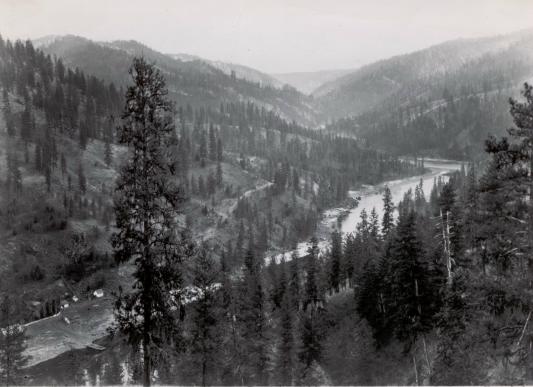 trivia90c.JPG - 35165 Bytes